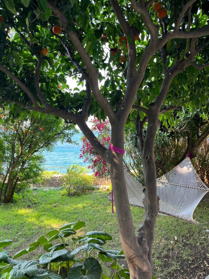 Nelinda Waterfront Accommodation Casamicciola Terme Luaran gambar